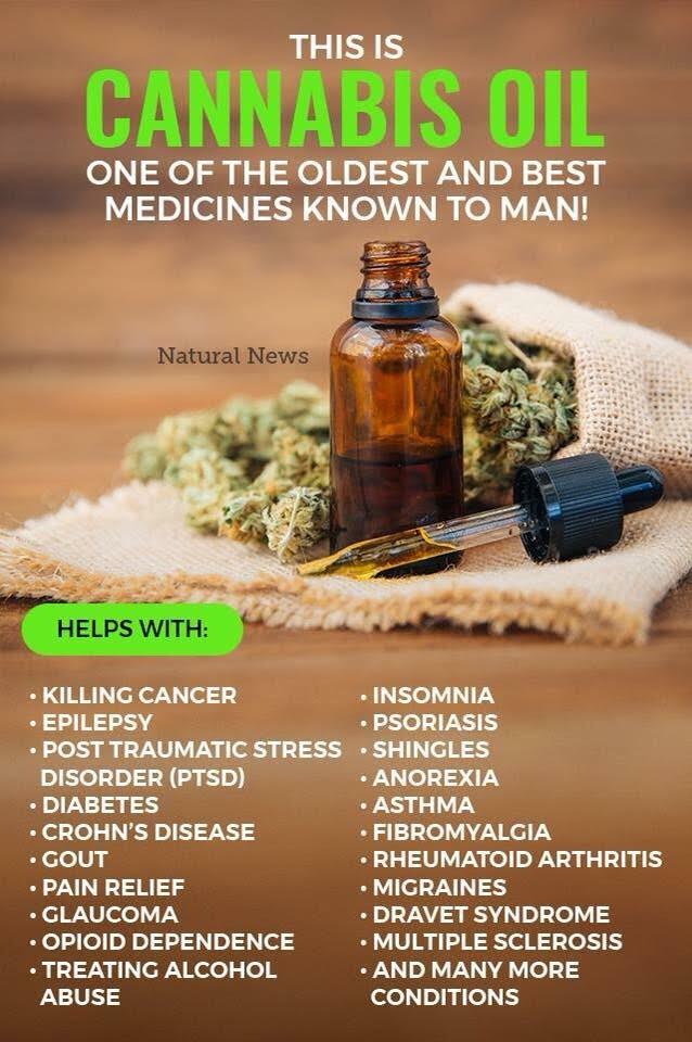 Cannabis oils Killing cancer