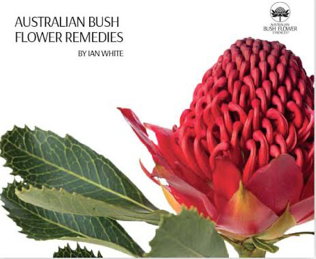 bush flower essence